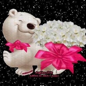 Meet your Posher, Elia